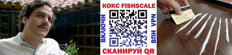 ссылка на мегу как войти  цена наркотик  Дюртюли  Кокаин Fish Scale 