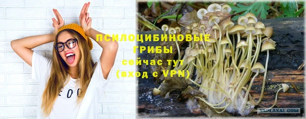 mix Алексин