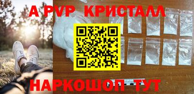 ECSTASY Новодвинск
