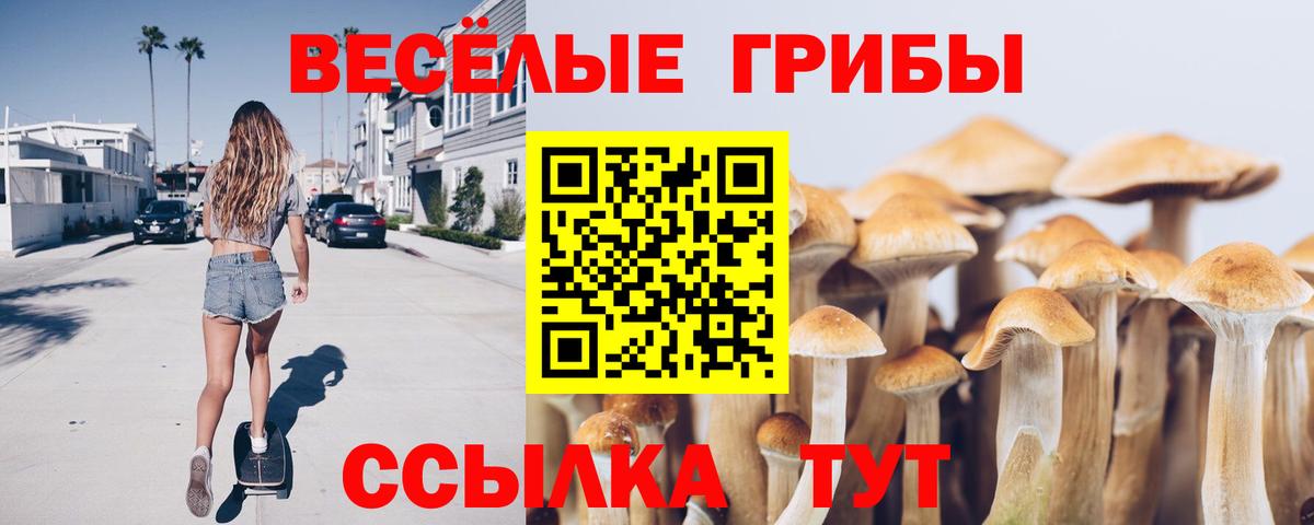 Псилоцибиновые грибы Cubensis Дюртюли